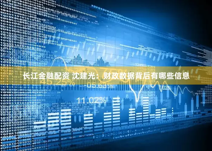 长江金融配资 沈建光：财政数据背后有哪些信息